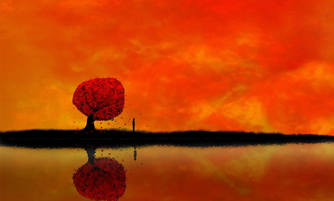 哈密笙影微信朋友圈转发案例