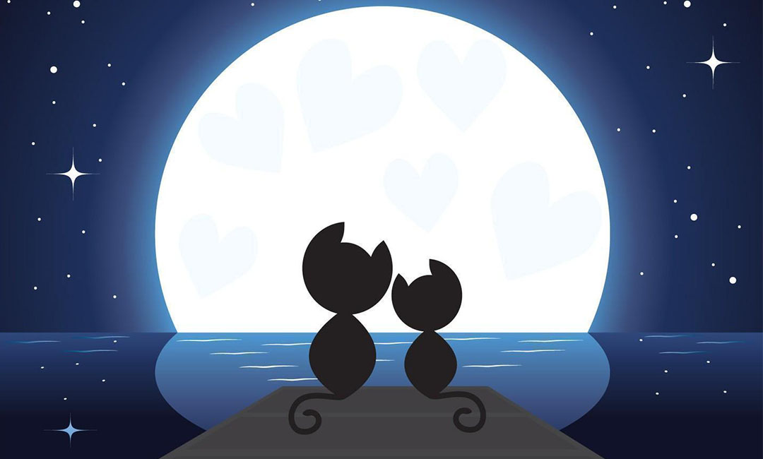 哈密潮客汇微信活动策划案例